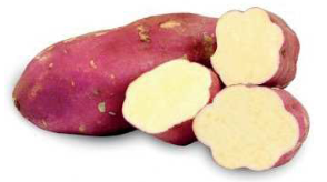 BONIATO / BATATA 1KG