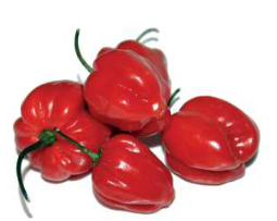 PIMIENTO ANTILLANO ROJO CONGELADO 1KG